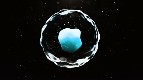 Cell with nucleus, membrane envelope and particles - loop Vidéo 165475018