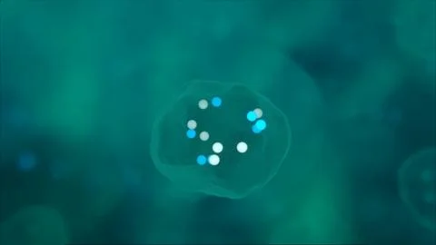 Cell Nucleus with Nucleotides Stock Photos