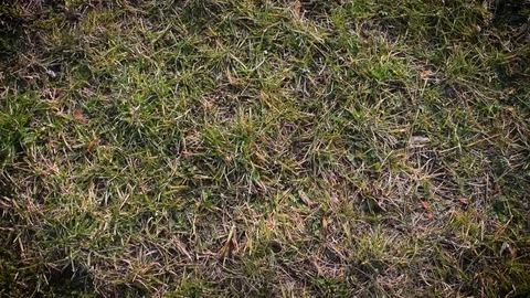 Cell phone is dropped Stock Footage 70403628