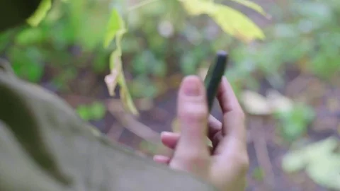 Cell phone in a forest path for navigation. Stock Footage 71229857