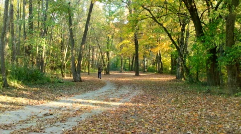 Cell Phone in the Park Stock Footage 43226305