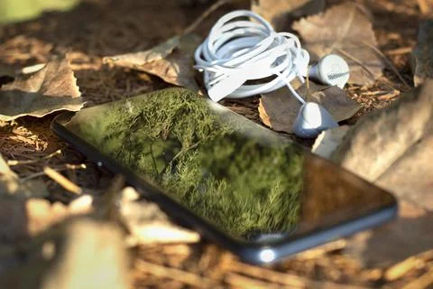 Cell phone reflecting tree branches, on sawdust and wood base with dry autumn 스톡 사진