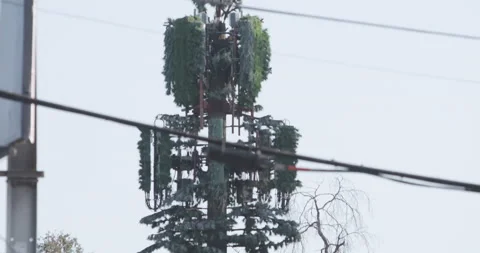 Cell Phone Tower, 5G Broadcasts, Trees and Power Lines Around Transmitter Stock Footage 165968238
