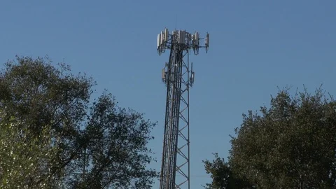 Cell Phone Tower Between Oak Trees Industrial Environment Stock Footage 97483378