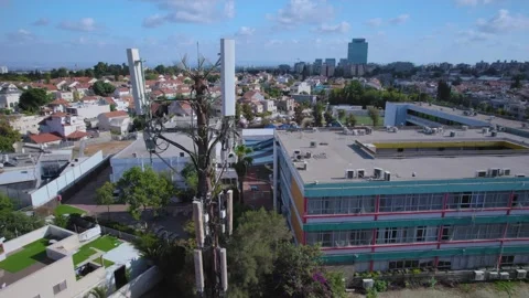 Cell phone tower Hidden antenna monopole as a fake tree above an urban Stock Footage 297955697