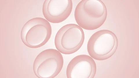 Cell plump Stock Footage 121986186