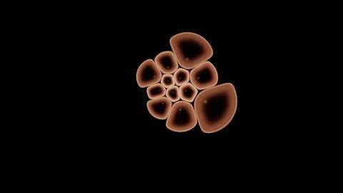 Cell Population Responds Visibly To An Applied Compound Stock-Footage 344512549