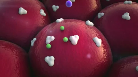 Cell, protein Stock Footage 44338866