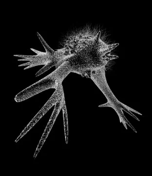 Cell with pseudopodia, artwork Stock Illustration