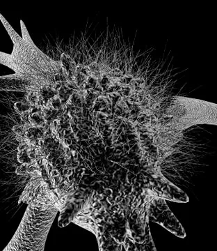 Cell with pseudopodia, artwork Stock Illustration