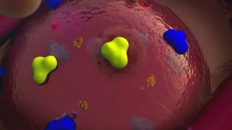 Cell, receptor Stock Footage 44338419