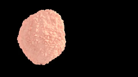 Cell rotates on black Video stock 87848529