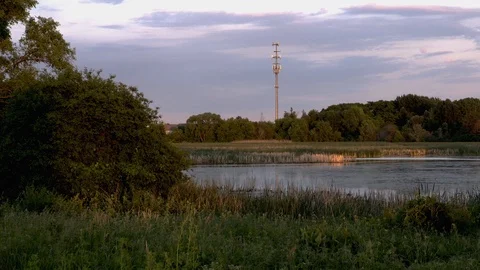 Cell Site Tower Over Marsh at Golden Hour Stock Footage 88849956