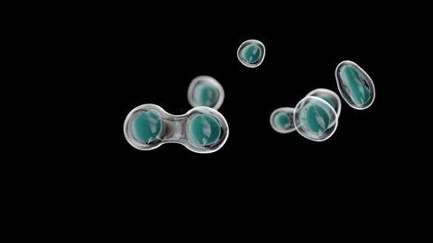 A cell splitting in multiple cells and 'pop' Stock Footage 140612671