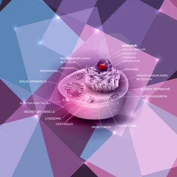 Cell structure abstract background Stock Illustration