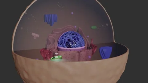 Cell Parts 3d Planets