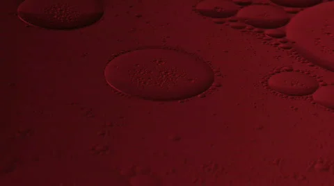 Cell-Like Structures Stock Footage 318915