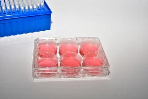 Cell technologies in biological research. Stock Photos