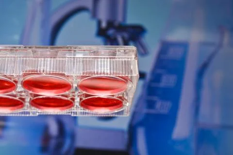 Cell technologies in biological research. Stock Photos