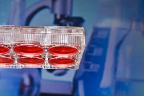 Cell technologies in biological research. Stock Photos