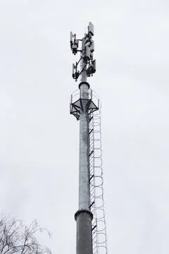 Cell tower on background of gray sky and tree branches. Stock Photos