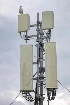 Cell Tower Bird Clouds Stock Photos