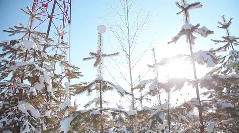 The cell tower. The construction of cell towers in the forest. Stock Footage 54946053