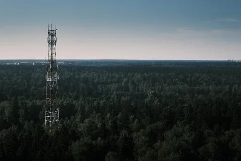 Cell tower in the forest, day, clear, summer Stock Photos