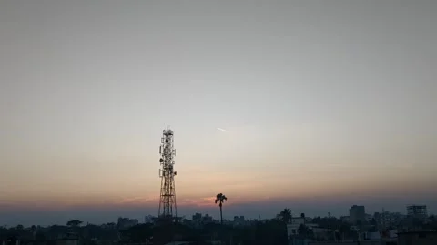 Cell Tower Palm Tree 스톡 동영상 320095970