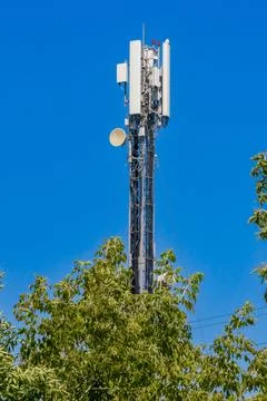 Cell tower standing tall among greenery in a clear blue sky on a sunny day Stock Photos