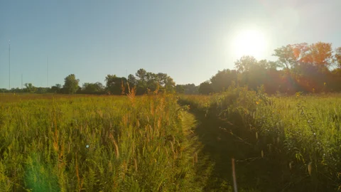 Cell Towers in a Nature Park Stock Footage 250178204
