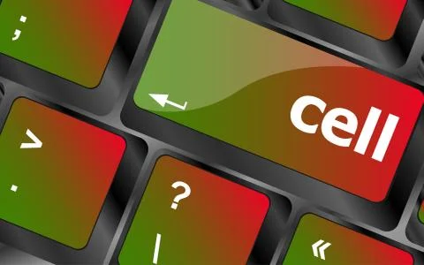 Cell word on keyboard key, notebook computer button Illustrazione stock