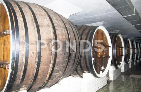 Cellar with barrels of wine Stock Photos