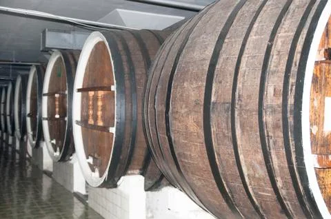 Cellar with barrels of wine Stock Photos