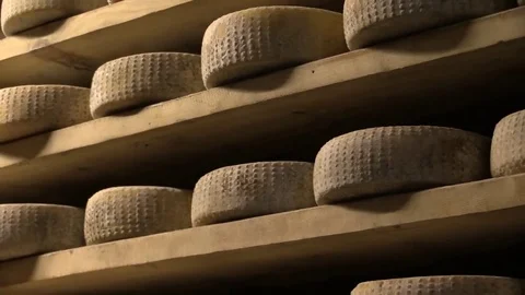 Cellar of cheese fermentations Stock Footage 79562322