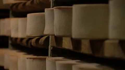 Cellar of cheese fermentations Stock Footage 79562347
