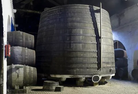 Cellar with wine barrels Stock Photos