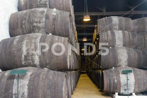 Cellar with wine barrels Stock Photos