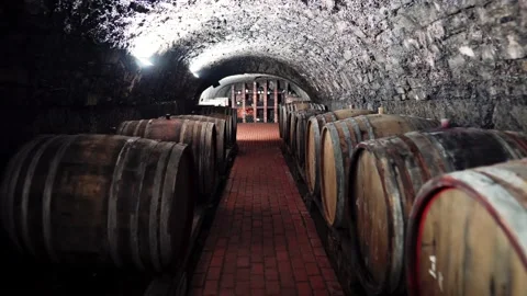 Cellar with wine in oak barrels Stock Footage 234906953
