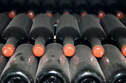Cellars with wine bottles Stock Photos