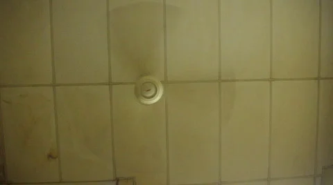 Celling fan Stock Footage 2976148