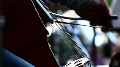 Celling playing on cello Video stock 11029560