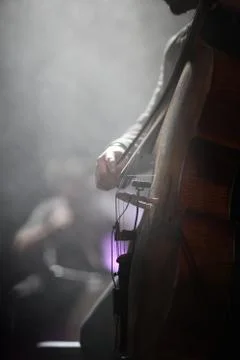 The cellist of the ensemble performs a part for his instrument in a concert o Stock Photos
