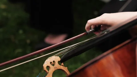 Cellist, Female Stock Footage 161810886