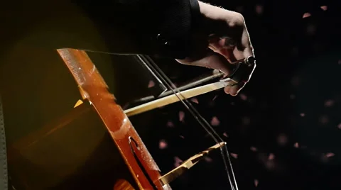 Cellist orchestrate a classical music track part 2 of 3 Видео 64523143
