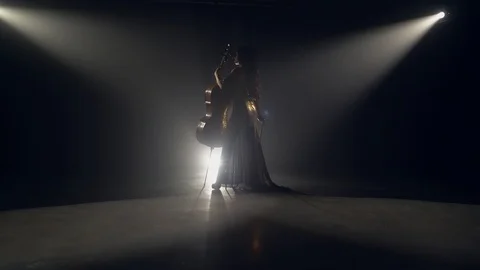 The cellist performs on stage. Vidéo 95847055