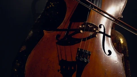 The cellist performs on stage. Vidéo 95848312
