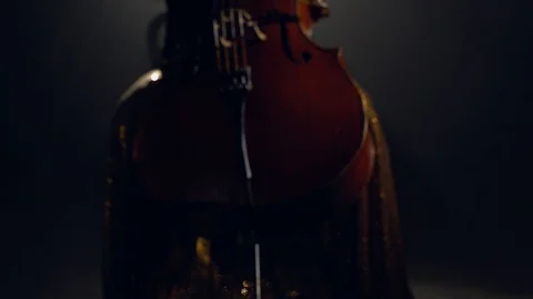 The cellist performs on stage. Vidéo 95848755
