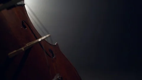 The cellist performs on stage. Vidéo 95852377