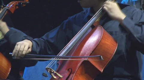 Cellist Playing Cello with Bow Video stock 80731